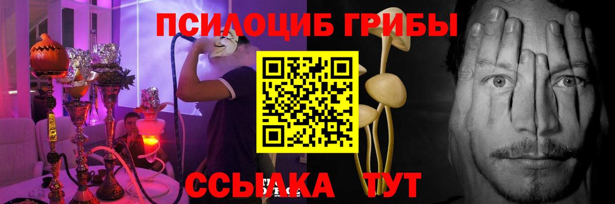 Псилоцибиновые грибы прущие грибы Кемерово